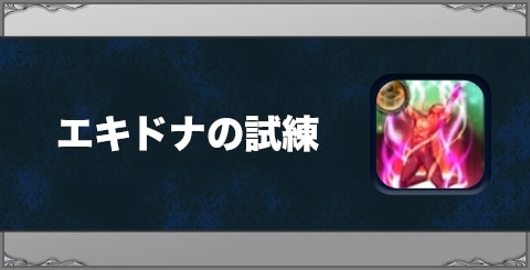 エキドナの試練の効果と習得方法