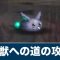 アルテマロゴ