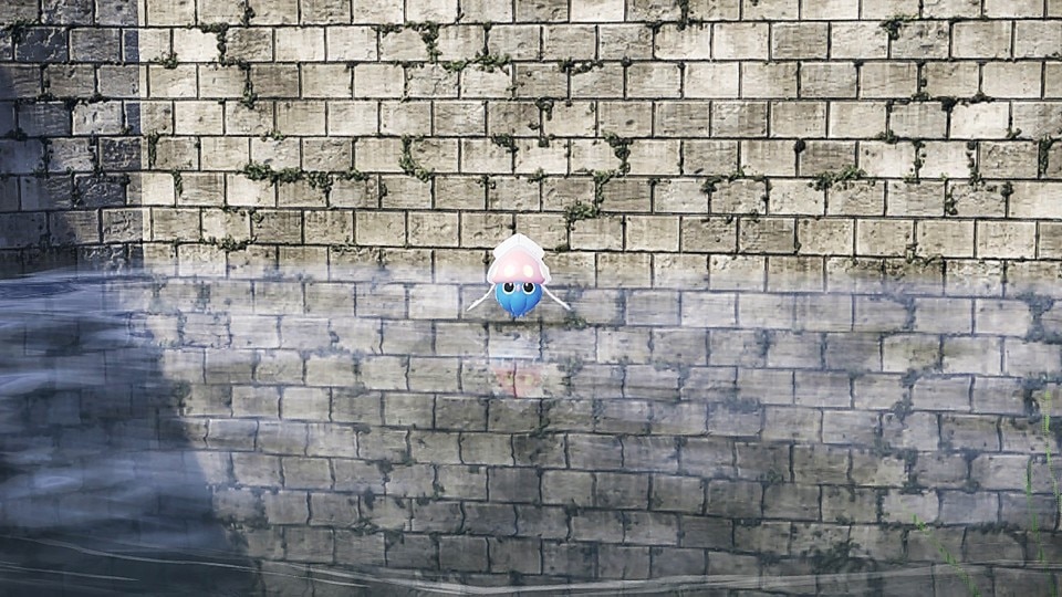 マーイーカの色違い厳選方法