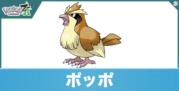 ポッポの進化と入手方法|おすすめ技構成