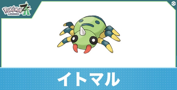イトマルの進化と入手方法|おすすめ技構成