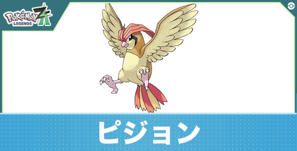 ピジョンの進化と入手方法|おすすめ技構成
