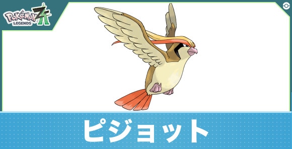ピジョットの進化と入手方法|おすすめ技構成