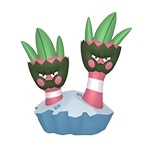 カメテテ色違い