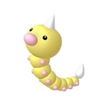 ビードル色違い