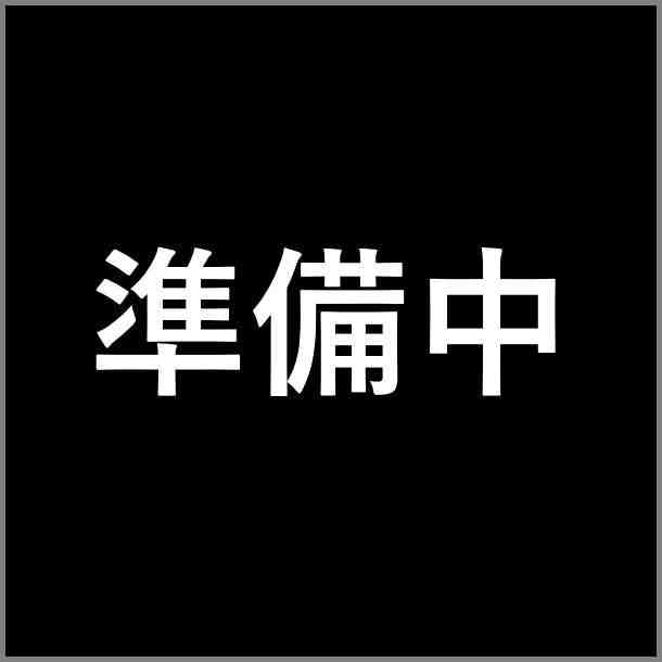 メガルチャブルの進化と入手方法|おすすめ技構成