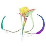 メガカラマネロ色違い