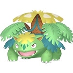 メガフシギバナ色違い