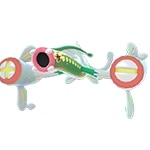 メガシビルドン色違い