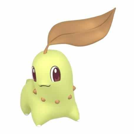 チコリータ色違い