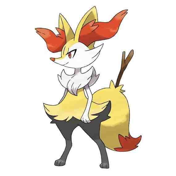 テールナー