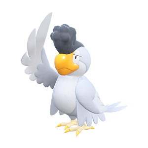 イキリンコ(ホワイトフェザー)