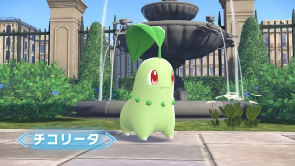 チコリータ