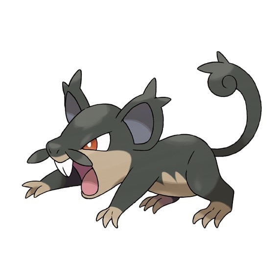コラッタ