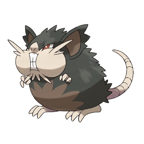 ラッタ