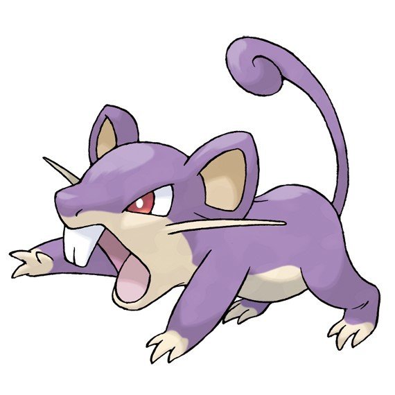 コラッタ2
