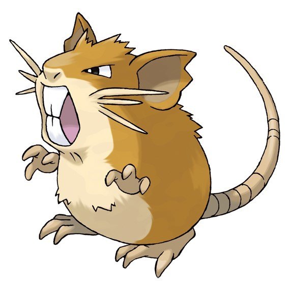 ラッタ2
