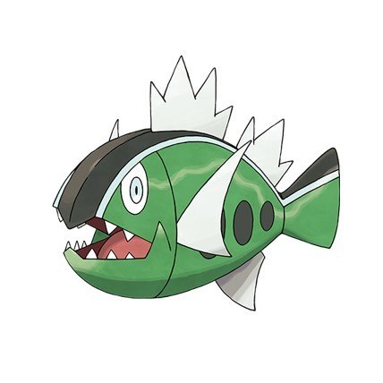 バスラオ2