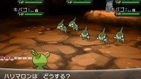 群れバトル
