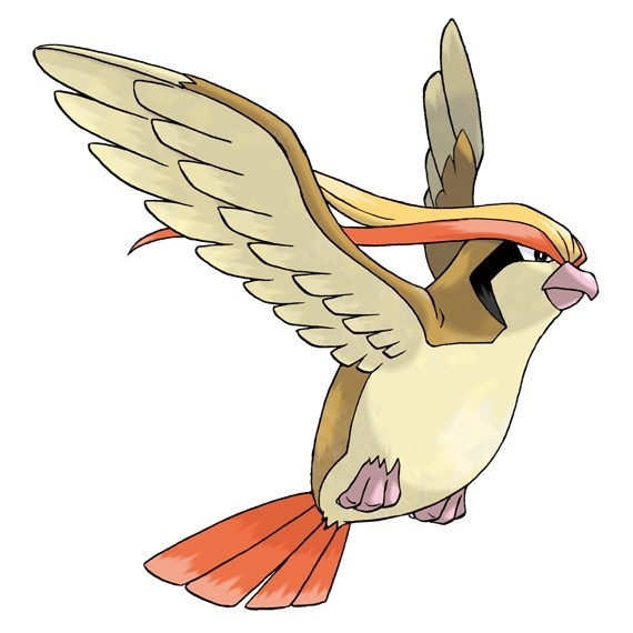 ピジョット