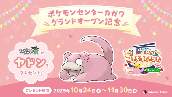 特別なヤドン