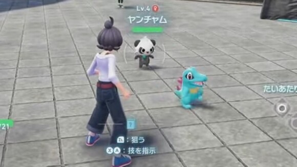 ヤンチャムとバトル