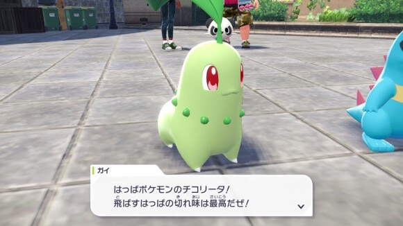 チコリータは序盤攻略が難しくなる