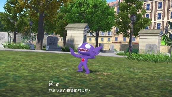墓地のヤミラミ
