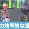 アルテマロゴ