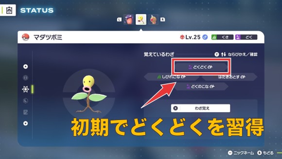 どくどく　マダツボミ　親分