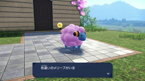 色違いのメリープ
