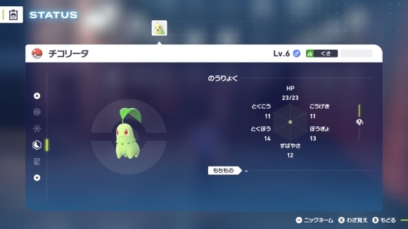 チコステ