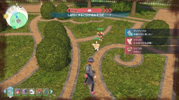 色違い