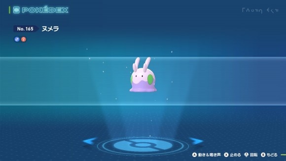 ヌメラ
