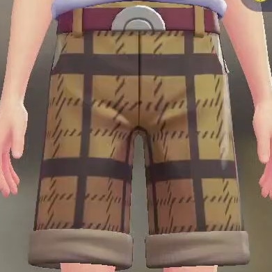 ブレイブリーキャメル