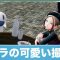 アルテマロゴ