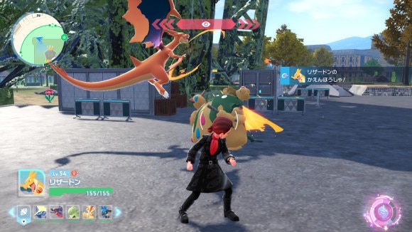 リザY