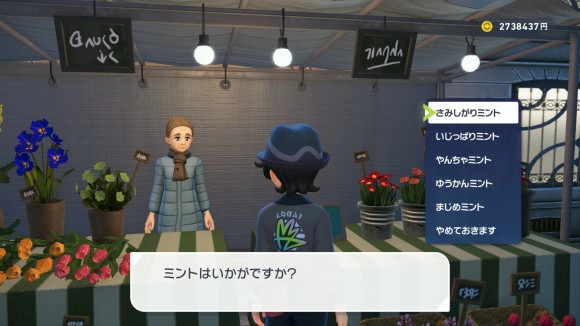 ミント購入
