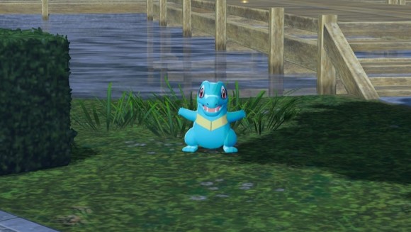 色違いが出たらセーブして捕獲する