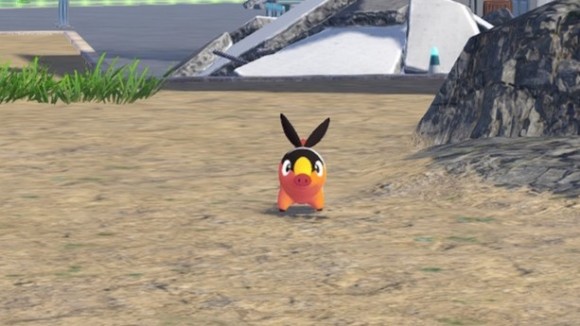 色違いが出たらセーブして捕獲する