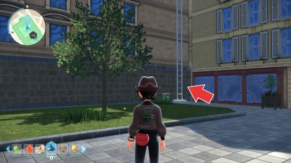 ワイルドゾーン10はしご