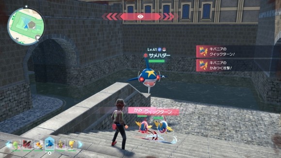 オヤブンサメハダー