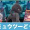 ポケモンの記事一覧「3ページ目」
