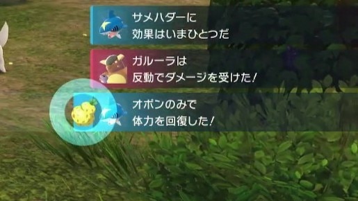 オボンのみ発動