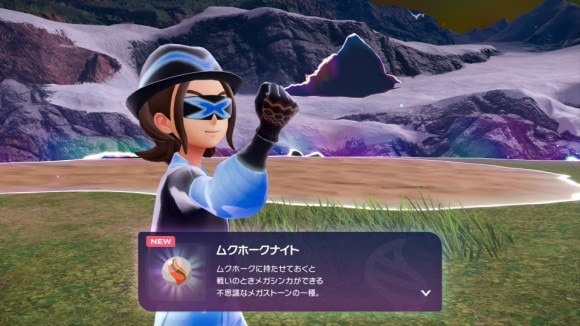 ムクホークの捕獲とムクホークナイトを入手