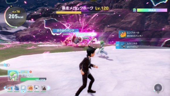 体力が減ると溜めた後に強力な連続蹴りを放つ