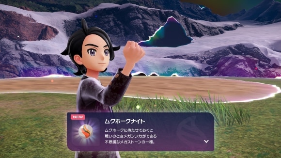 ムクホークナイトを入手