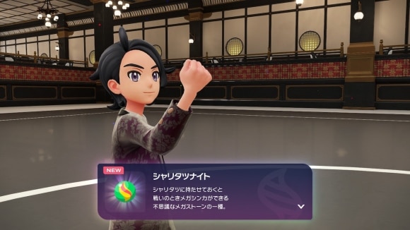 シャリタツナイトを入手