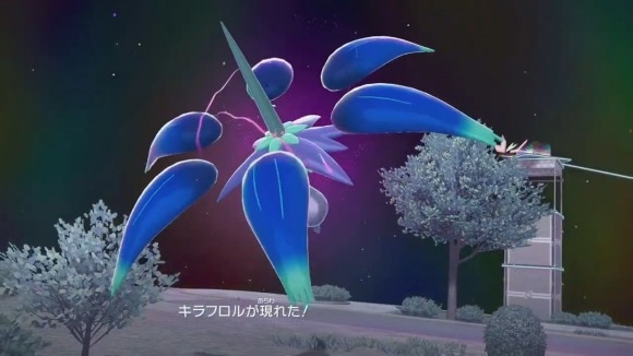 メガキラフロル