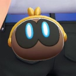 シローポーチいろちがい